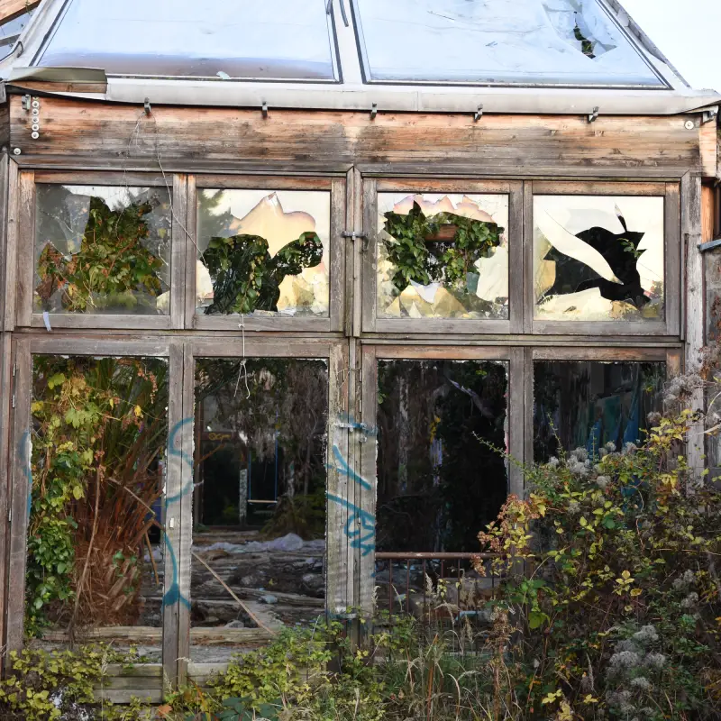 Dismantle Wooden Garden Shed in Ipswich | Garden Clearance Services