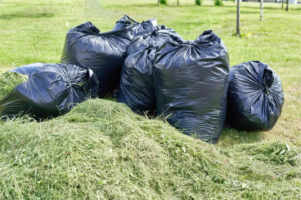 Garden Clearance Services Ipswich