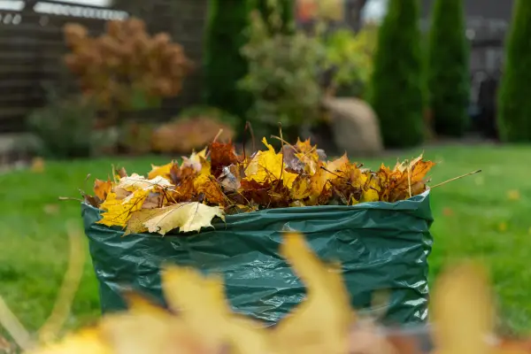 Green Waste Removal